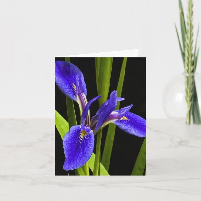 Blaue Iris-Raum-Anmerkungs-Karte Karte (Vorderseite)