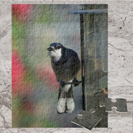 Blaue Jay auf dem Fotovogel der Feeder Puzzle