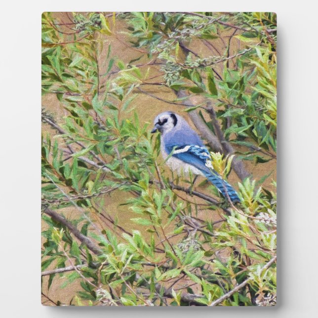 Blaue Jay auf Myrtle aus Südwax Fotoplatte (Vorderseite)