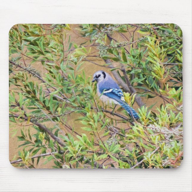 Blaue Jay auf Myrtle aus Südwax Mousepad (Vorne)