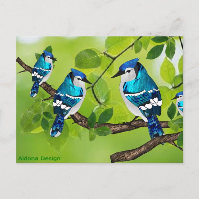 Blaue Jay auf Zweig Postkarte (Vorderseite)