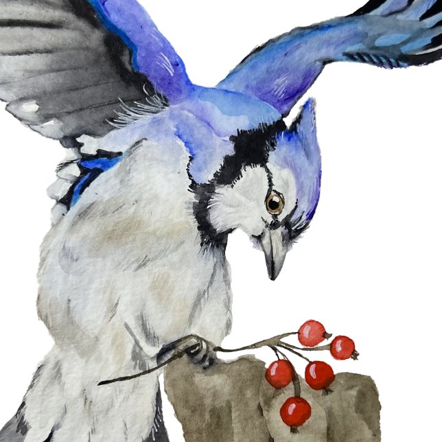 Blaue Jay Baby Strampler (Von Creator hochgeladen)