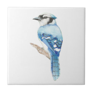 Blaue Jay Bird Art Fliese