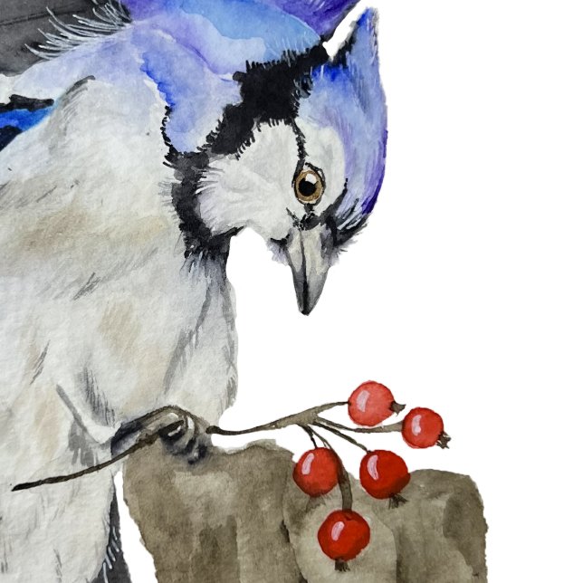 Blaue Jay Edelstahlflasche (Von Creator hochgeladen)