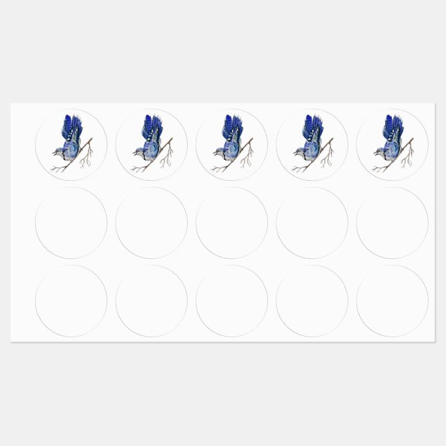 Blaue Jay Etiketten (Blatt)