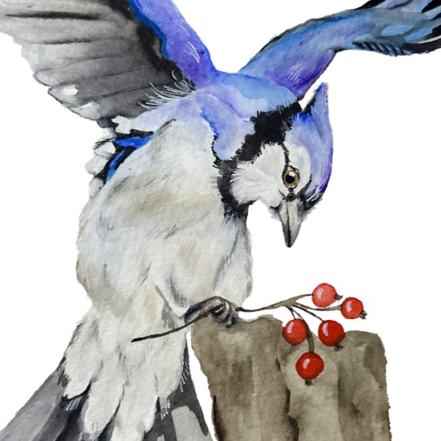 Blaue Jay Gepäckanhänger (Von Creator hochgeladen)
