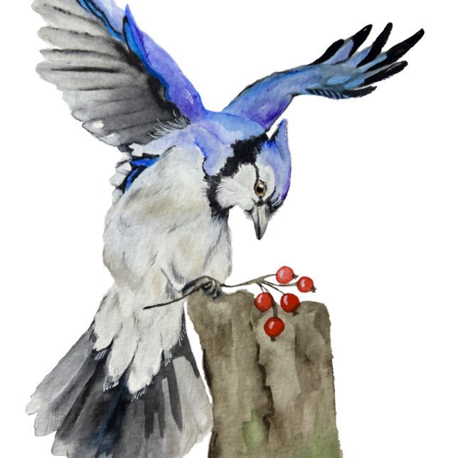 Blaue Jay Gepäckanhänger (Von Creator hochgeladen)