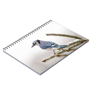 Blaue Jay im Winter Notizblock