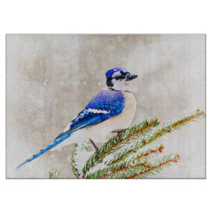 Blaue Jay im Winter Schneidebrett