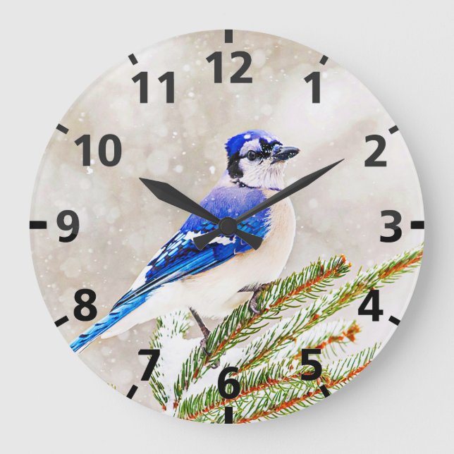 Blaue Jay in einem Kiefernbaum mit Schnee Große Wanduhr (Vorderseite)