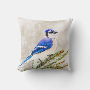 Blaue Jay in einem Kiefernbaum mit Schnee Kissen