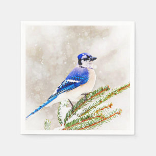 Blaue Jay in einem Kiefernbaum mit Schnee Serviette