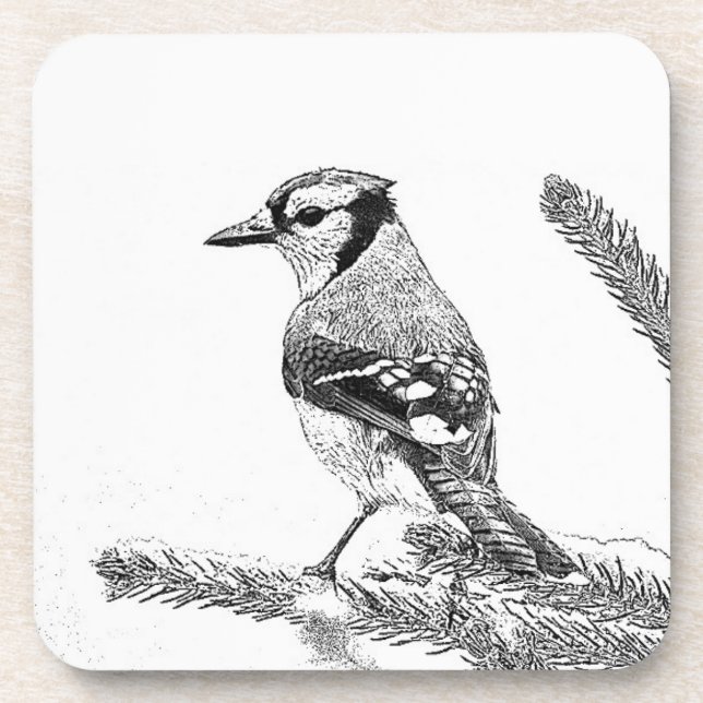 Blaue Jay in Winterskizze Untersetzer (Vorderseite)