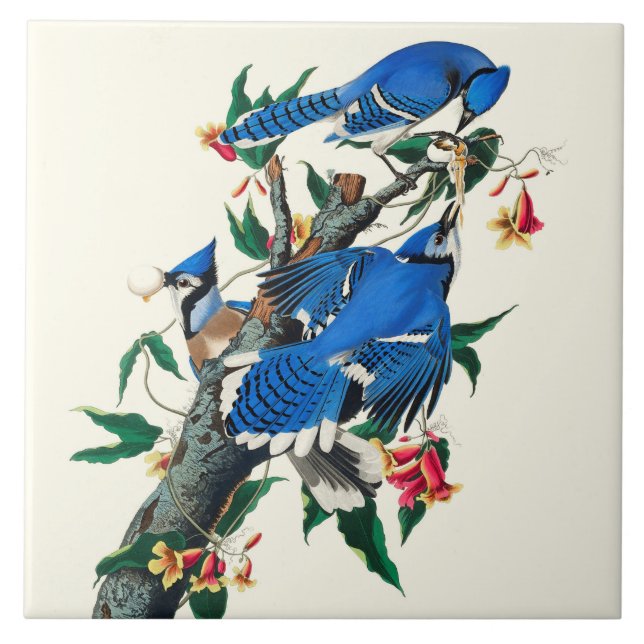 Blaue Jay Keramik Tile Fliese (Vorderseite)