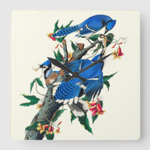 Blaue Jay Keramik Tile Quadratische Wanduhr
