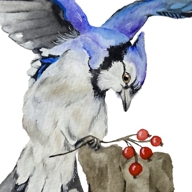 Blaue Jay Leinwanddruck (Von Creator hochgeladen)