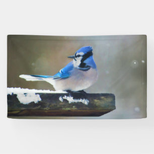 Blaue Jay-Malerei - Original Bird Art Banner