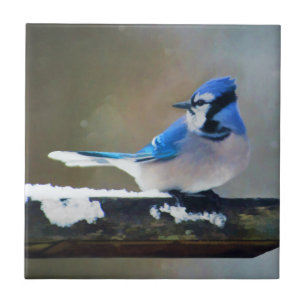 Blaue Jay-Malerei - Original Bird Art Fliese