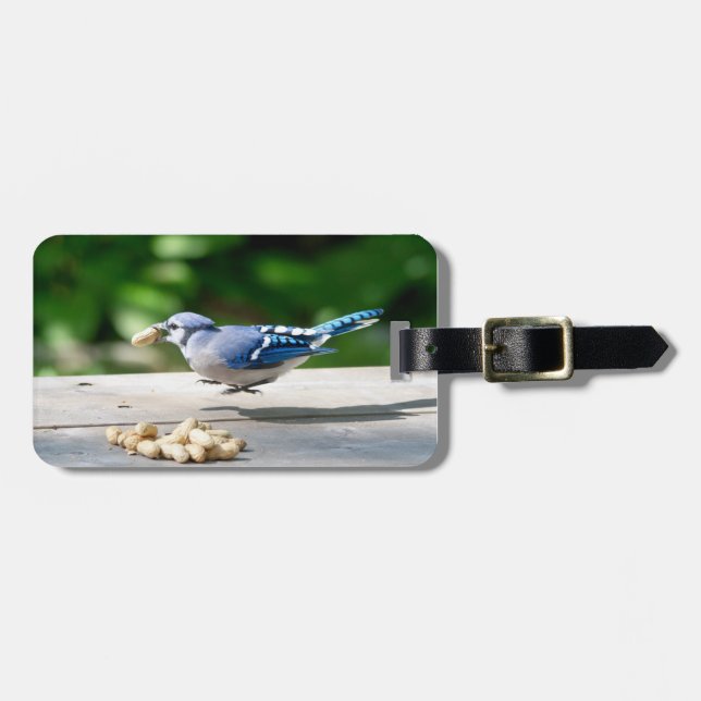 Blaue Jay mit Erdnuss Gepäckanhänger (Vorderseite horizontal)
