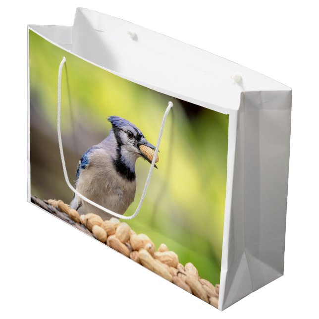 Blaue Jay mit Erdnuss Große Geschenktüte (Vorderseite Schrägansicht)