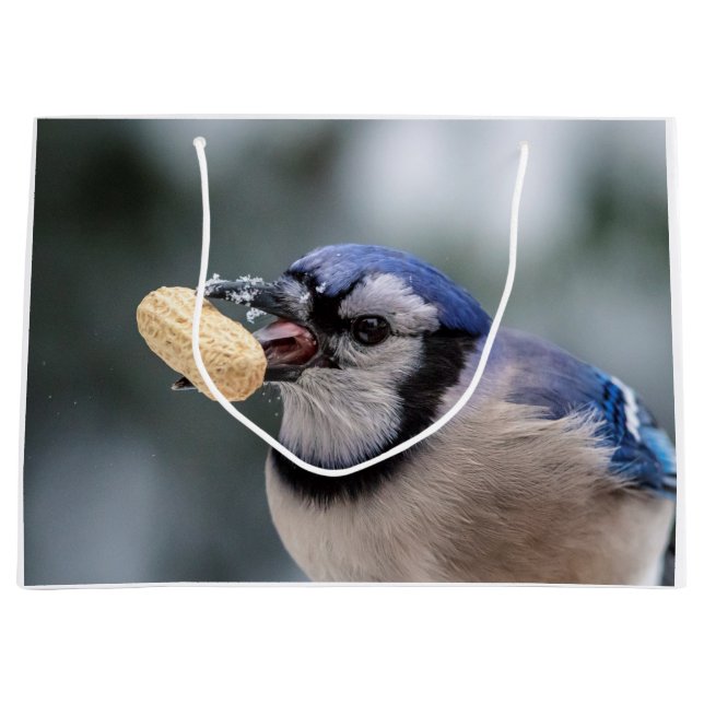 Blaue Jay mit Erdnuss Große Geschenktüte (Vorderseite)