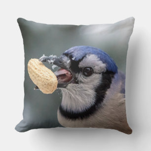 Blaue Jay mit Erdnuss Kissen