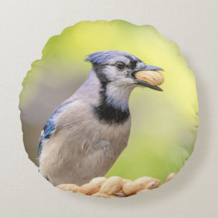 Blaue Jay mit Erdnuss Rundes Kissen