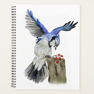 Blaue Jay Planer