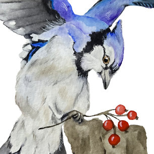 Blaue Jay Poster