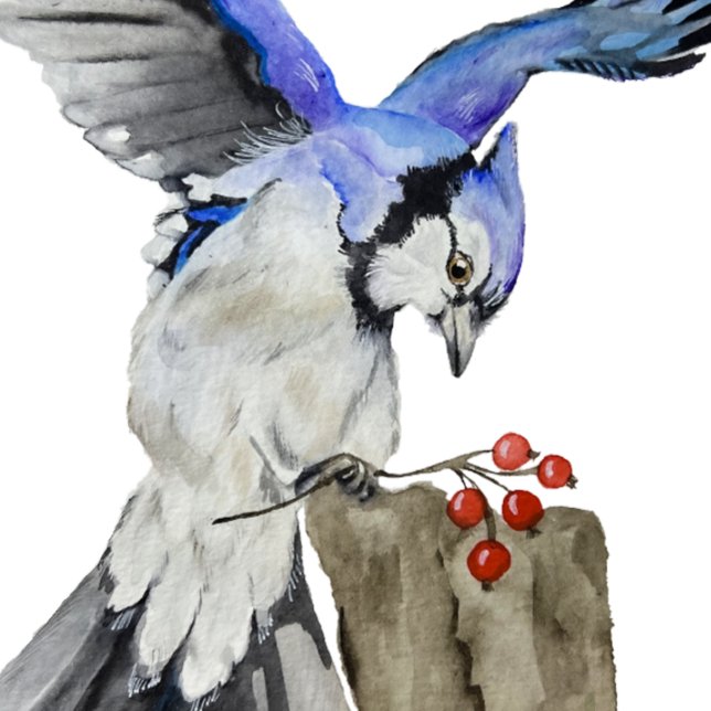 Blaue Jay Poster (Von Creator hochgeladen)