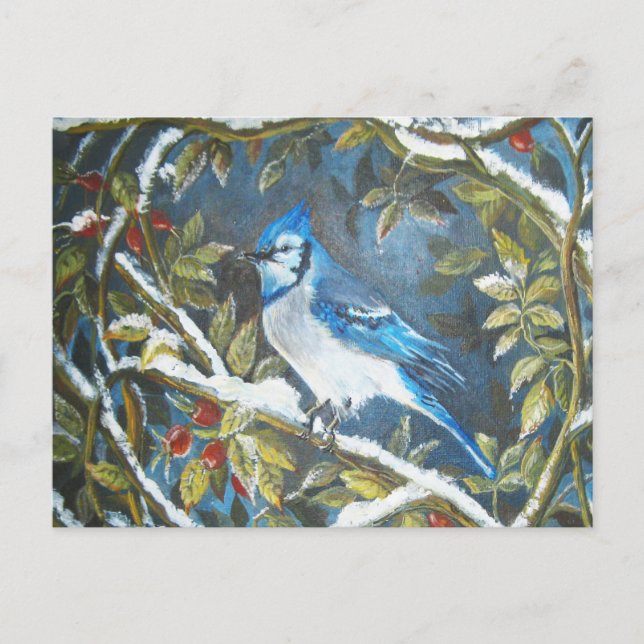 Blaue Jay Postkarte (Vorderseite)