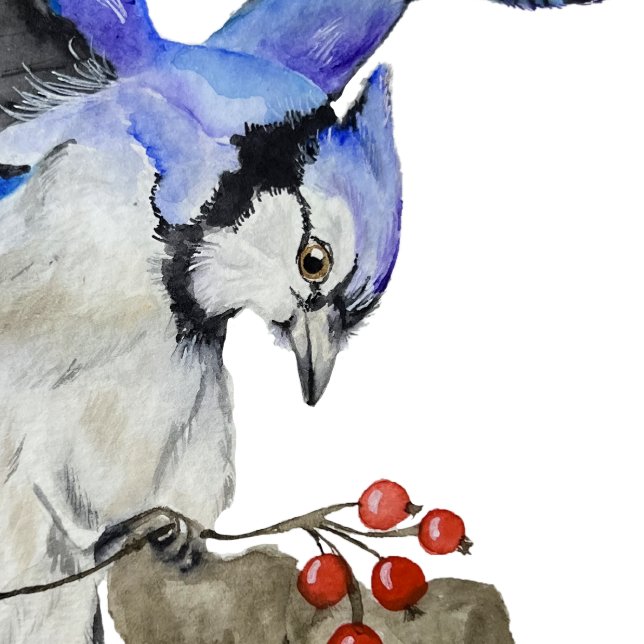 Blaue Jay Rechteckiger Pappuntersetzer (Von Creator hochgeladen)