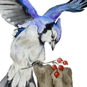 Blaue Jay Runde Wanduhr