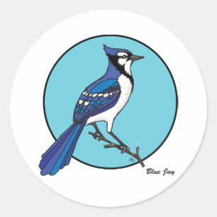 BLAUE JAY RUNDER AUFKLEBER