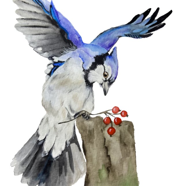 Blaue Jay Rundes Kissen (Von Creator hochgeladen)