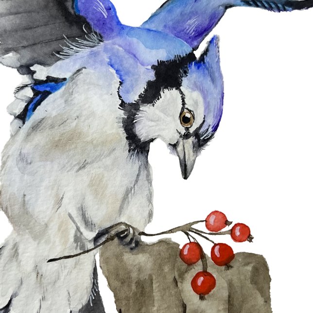 Blaue Jay Steinuntersetzer (Von Creator hochgeladen)