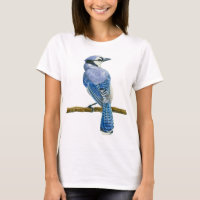 Blaue Jay