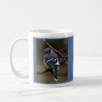 Blaue Jay-Tasse