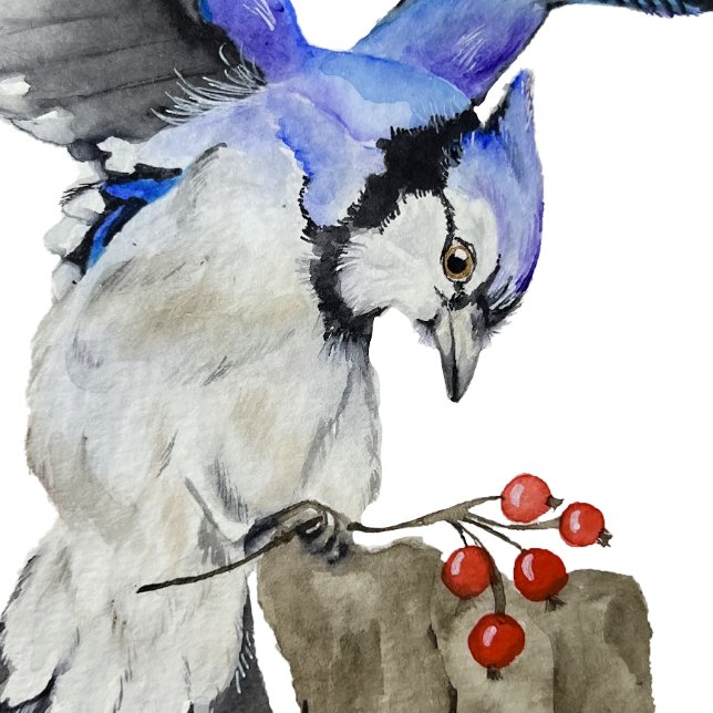 Blaue Jay Thermosbecher (Von Creator hochgeladen)
