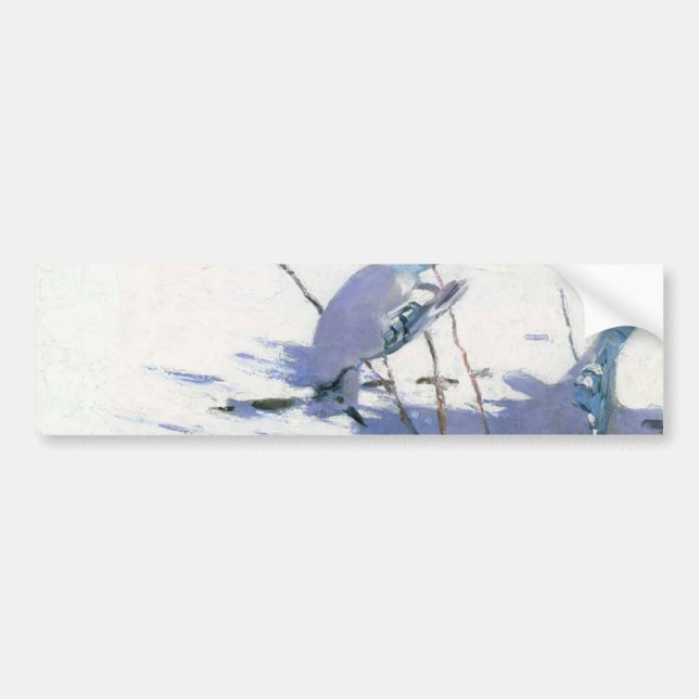 Blaue Jay Vögel in einer Winterlandschaft Autoaufkleber (Vorne)