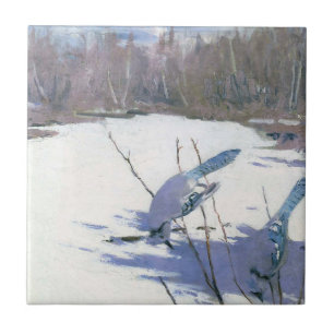 Blaue Jay Vögel in einer Winterlandschaft Fliese