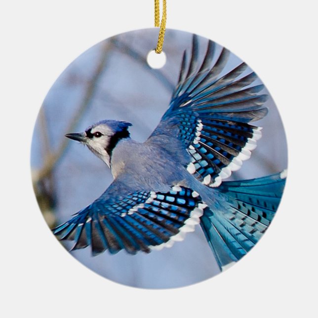 Blaue Jay-Weihnachtsverzierung Keramik Ornament (Vorne)