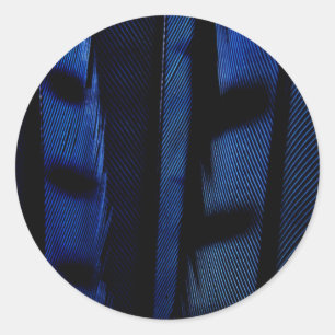 Blaue Jayfedern Runder Aufkleber