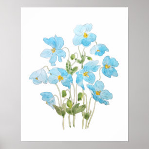 blaue Kalifornische Mohn-Tinte und Aquarell Poster