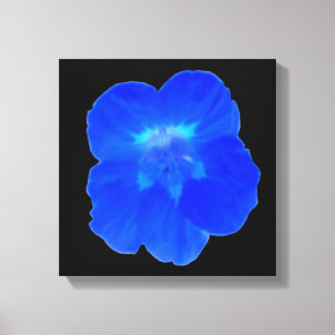 Blaue Kapuzinerkresse Leinwanddruck