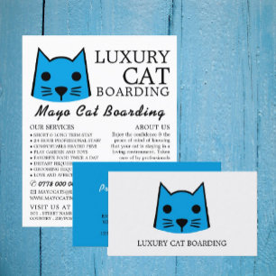 Blaue Katze, Katze Boarding, Werbung Flyer