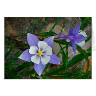 Blaue Kolonne