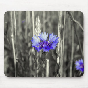 Blaue Kornblume Mousepad
