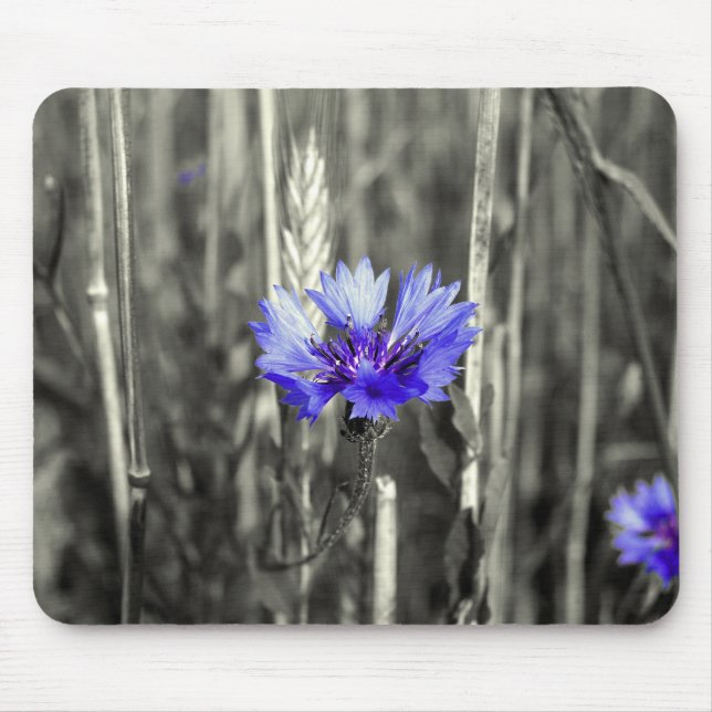 Blaue Kornblume Mousepad (Vorne)