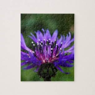 Blaue Kornblumen-Blüten Frieden Liebe Schicksal Puzzle